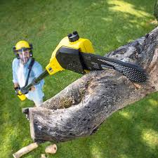 Pest Control for Lawns in Grand Ronde, OR